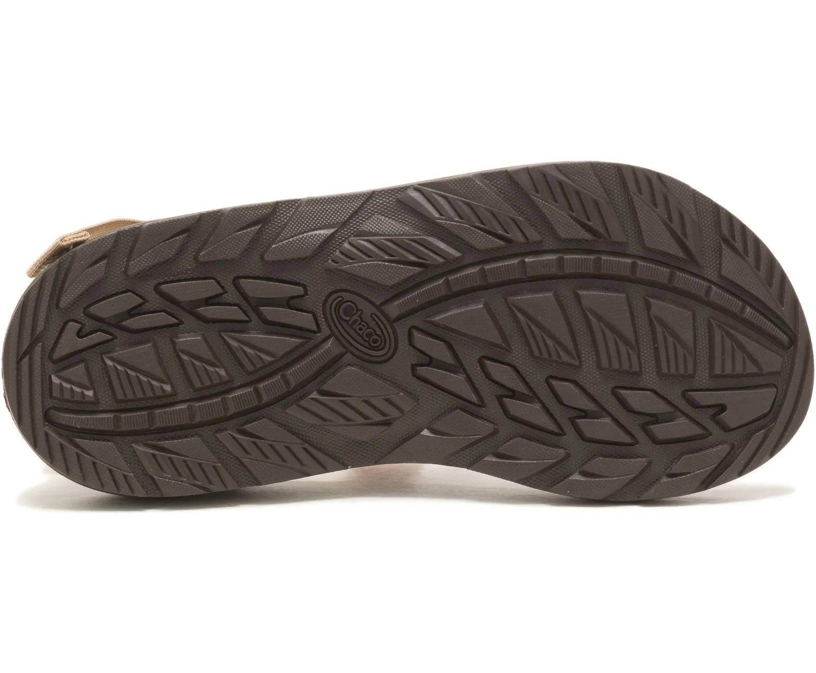 Chaco Z/Cloud Men's